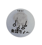 カリフラワーさん（個別スタンプ：36）