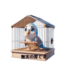 セキセイインコのソラちゃん1  budgerigar（個別スタンプ：11）