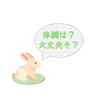 らいおんとうさぎ詰め合わせ（個別スタンプ：11）