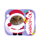 こちょ♡（個別スタンプ：1）