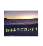 TNT本人確認が取った写真の背景（個別スタンプ：4）