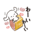 愛犬ワンコde年末年始♡マルチーズ♡冬（個別スタンプ：22）