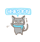 幸ねこくん〜1年ずっと使える〜（個別スタンプ：20）