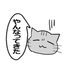 ひと言伝えるふきだしネコ 25（個別スタンプ：30）