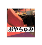 cuc大御所スタンプ2（個別スタンプ：2）
