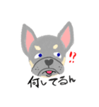 ぶーちゃんスタンプ#1（個別スタンプ：4）
