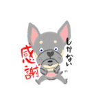 ぶーちゃんスタンプ#1（個別スタンプ：5）