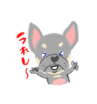 ぶーちゃんスタンプ#1（個別スタンプ：12）