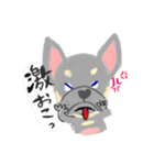 ぶーちゃんスタンプ#1（個別スタンプ：13）
