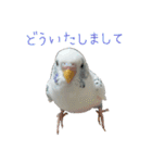 ごま（オス）（個別スタンプ：2）