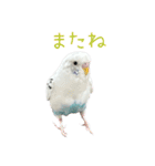 ごま（オス）（個別スタンプ：9）