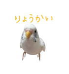 ごま（オス）（個別スタンプ：10）