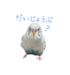 ごま（オス）（個別スタンプ：18）