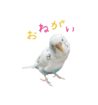 ごま（オス）（個別スタンプ：26）