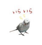ごま（オス）（個別スタンプ：32）