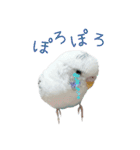 ごま（オス）（個別スタンプ：33）