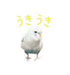 ごま（オス）（個別スタンプ：35）