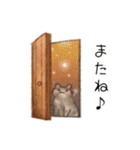 もねちゃん日常スタンプ（個別スタンプ：37）