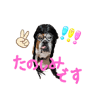 大好き金太郎8（個別スタンプ：9）