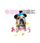 大好き金太郎8（個別スタンプ：10）