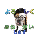 大好き金太郎8（個別スタンプ：11）