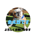 大好き金太郎8（個別スタンプ：15）