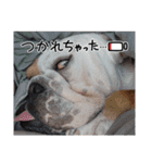 大好き金太郎8（個別スタンプ：18）
