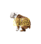 大好き金太郎8（個別スタンプ：21）