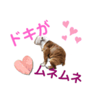 大好き金太郎8（個別スタンプ：23）