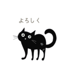 毎日使える黒猫のスタンプ（個別スタンプ：9）