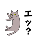 灰色猫の日常ゆるゆるスタンプ（個別スタンプ：3）