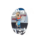 らきのきらきらスタンプ 日常編（個別スタンプ：14）