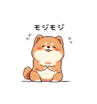 癒しの柴犬くん♡（個別スタンプ：11）