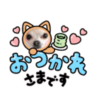 ぽみのご挨拶シリーズ（個別スタンプ：3）