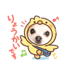 ぽみのご挨拶シリーズ（個別スタンプ：5）