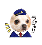 ぽみのご挨拶シリーズ（個別スタンプ：6）