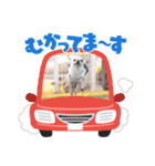 ぽみのご挨拶シリーズ（個別スタンプ：13）