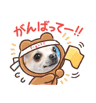 ぽみのご挨拶シリーズ（個別スタンプ：18）