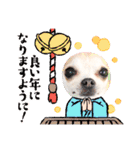 ぽみのご挨拶シリーズ（個別スタンプ：22）