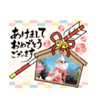 ぽみのご挨拶シリーズ（個別スタンプ：24）