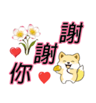 大きな文字でかわいい柴犬の日常セリフ（個別スタンプ：5）