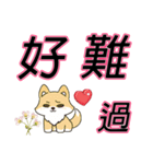 大きな文字でかわいい柴犬の日常セリフ（個別スタンプ：28）