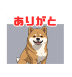 Shiba-inu-san（個別スタンプ：7）