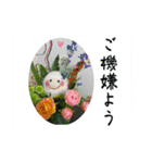 季節を感じる花だるまりん（個別スタンプ：33）