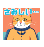 猫将軍からの返答（個別スタンプ：10）