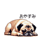 ドット絵 パグ 犬 40種 定番（個別スタンプ：2）