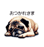 ドット絵 パグ 犬 40種 定番（個別スタンプ：4）