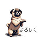 ドット絵 パグ 犬 40種 定番（個別スタンプ：5）