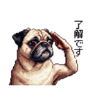 ドット絵 パグ 犬 40種 定番（個別スタンプ：6）