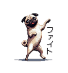 ドット絵 パグ 犬 40種 定番（個別スタンプ：15）